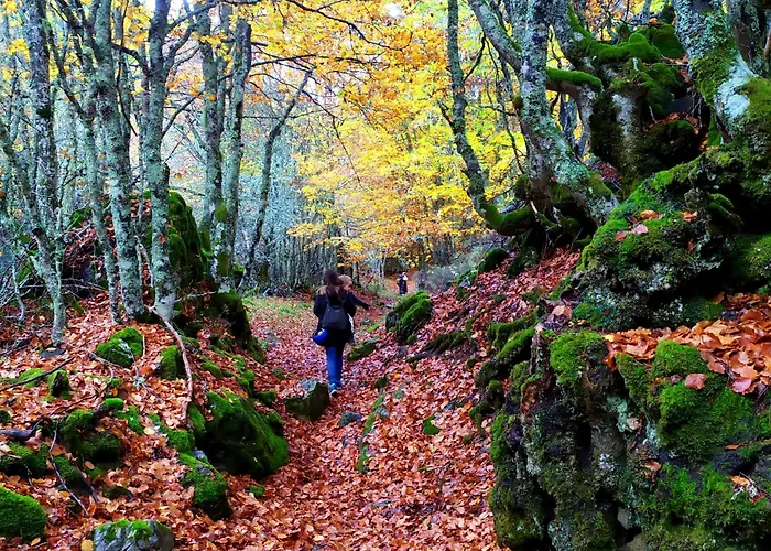 Apartment Duplex El Refugio De Porma Puebla de Lillo
