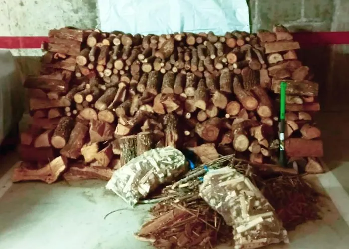 Appartement Duplex El Refugio De Porma Puebla de Lillo